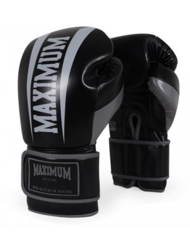 LUVA PARA BOXE / MUAY-THAI  INICIANTE MAXIMUM